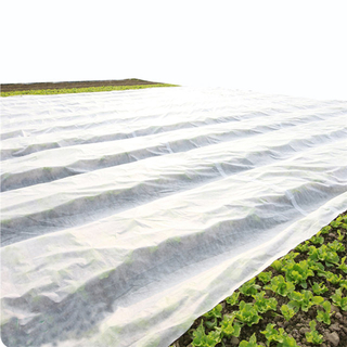农业覆盖白色100％PP非织造织物使用农业保护