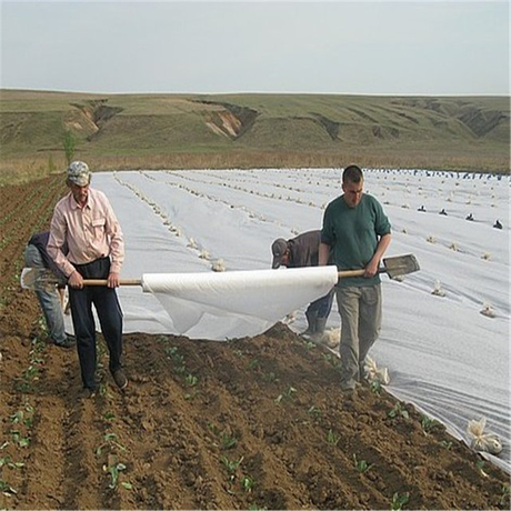 农业覆盖PP无纺布用UV农业保护非织造织物卷