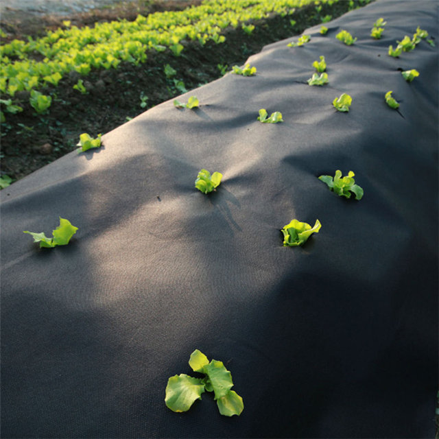 农业无纺布紫外线纺粘无纺布植物覆盖物防冻保护