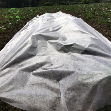 中国制造商 UV 100%PP 农业无纺布杂草控制杂草垫花园覆盖物
