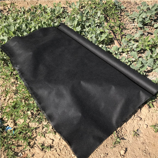 17GSM 3％UV PP纺粘无纺布卷材用于农业