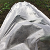 3%-6%UV 15-70GSM 100% 聚丙烯农业花园覆盖织物无纺布杂草控制杂草垫