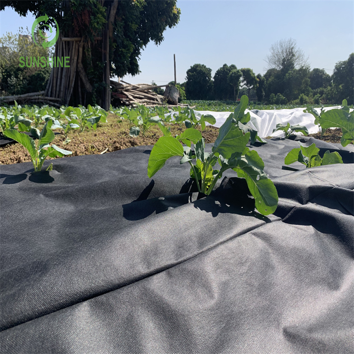 UV 15-70GSM 100%PP 农业无纺布杂草控制杂草垫花园覆盖织物